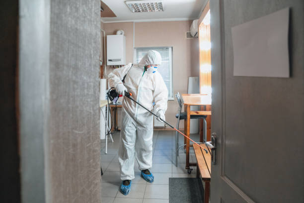 Best Mold Remediation for Healthcare Facilities  in Decatur, IL