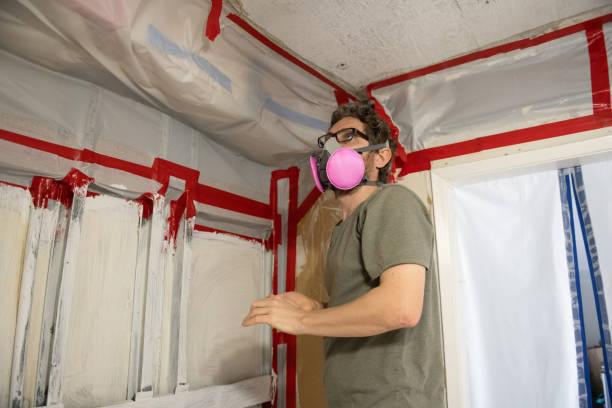 Best Mold Prevention Services  in Decatur, IL