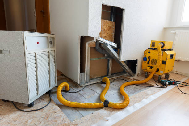 Decatur, IL Mold Inspection, Removal & Remediation Company