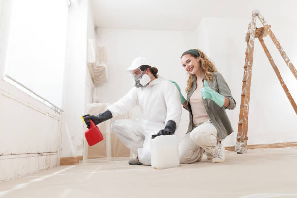 Best Water Damage & Mold Remediation  in Decatur, IL